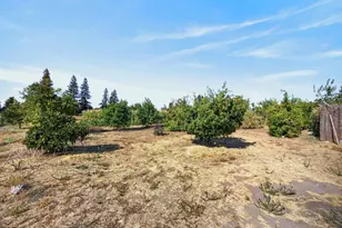 109 Delano St, Elverta, CA 95626 - Photo 39