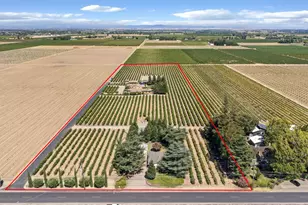 15694 N Alpine Rd, Lodi, CA 95240 - Photo 95
