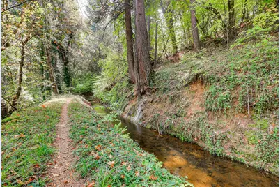 12669 Pasquale Road, Nevada City, CA 95959 - Photo 5