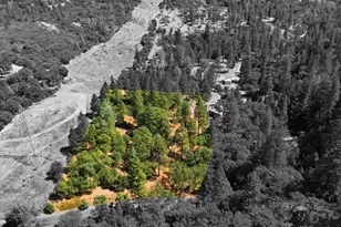 8841 Mosquito Rd, Placerville, CA 95667 - Photo 33