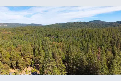 325 Gracie Road, Nevada City, CA 95959 - Photo 29