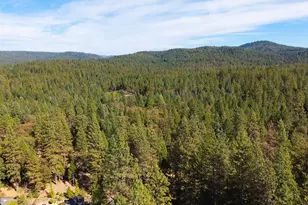 325 Gracie Rd, Nevada City, CA 95959 - Photo 29