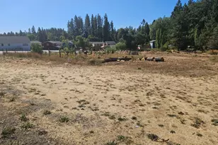 0 Whiting St, Grass Valley, CA 95945 - Photo 1