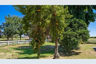 4900 California Avenue, Oakdale, CA 95361 - Photo 43