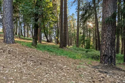 12632 Pinewoods Road, Nevada City, CA 95959 - Photo 47