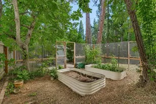 10584 Cedar Ave, Grass Valley, CA 95945 - Photo 31