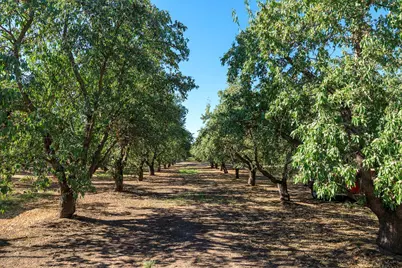 8460 E Keyes Road, Hughson, CA 95326 - Photo 41