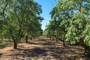 8460 E Keyes Rd, Hughson, CA 95326 - Photo 41