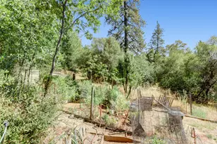 13555 Rancho Nogotta, Grass Valley, CA 95949 - Photo 29