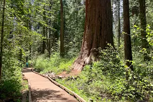 2473 Shoshone Dr, Camp Connell, CA 95223 - Photo 57