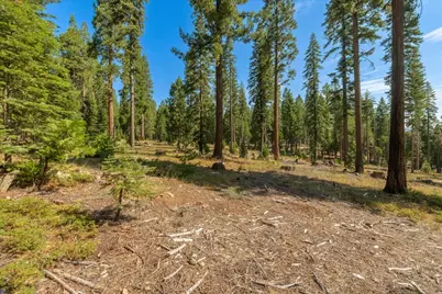 2473 Shoshone Drive, Camp Connell, CA 95223 - Photo 41