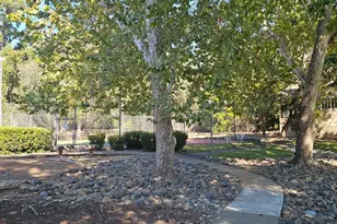 7427 Black Tree Ln, Citrus Heights, CA 95610 - Photo 33