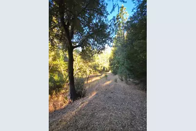 0 Highway 193, Greenwood, CA 95635 - Photo 11