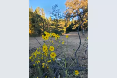 0 Highway 193, Greenwood, CA 95635 - Photo 3