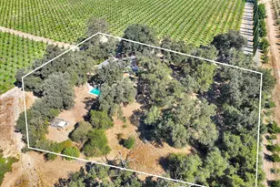 770 Ramirez Rd, Marysville, CA 95901 - Photo 69