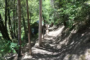 104 Main St, Downieville, CA 95936 - Photo 19