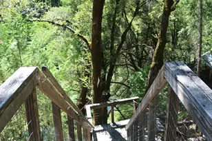 104 Main St, Downieville, CA 95936 - Photo 13