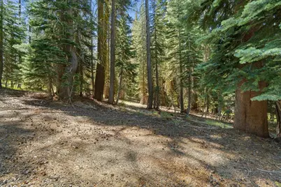 20414 US Highway 50, South Lake Tahoe, CA 96155 - Photo 13