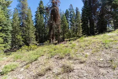 20414 US Highway 50, South Lake Tahoe, CA 96155 - Photo 5