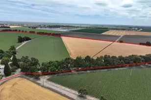 916 Wilson Bend Rd, Grimes, CA 95950 - Photo 63