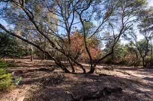 4351 Rossler Rd, Placerville, CA 95667 - Photo 19