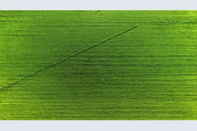0 Jameson, Colusa, CA 95932 - Photo 9