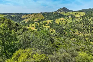 8812 Miwok Trail, Mokelumne Hill, CA 95245 - Photo 61