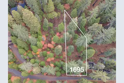 1695 Manzanita Drive, Arnold, CA 95223 - Photo 1