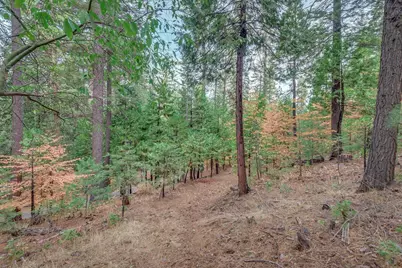 1695 Manzanita Drive, Arnold, CA 95223 - Photo 5