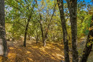 5617 Indian Hills, Murphys, CA 95247 - Photo 65