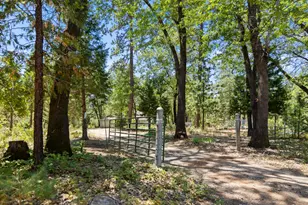 4930 Papya Rd, Forest Ranch, CA 95942 - Photo 25