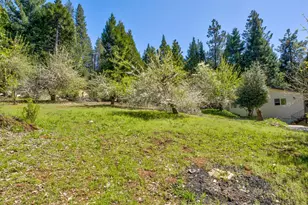 1869 Hwy 4, Arnold, CA 95223 - Photo 53