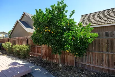 1513 Ullrey Avenue, Escalon, CA 95320 - Photo 67