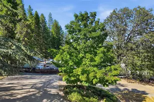 440 Lower Grass Valley Rd, Nevada City, CA 95959 - Photo 7