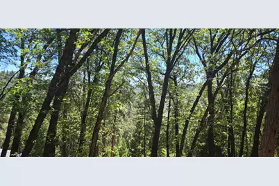 16929 Lawrence Way, Grass Valley, CA 95949 - Photo 5