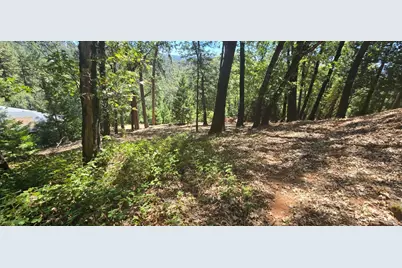 16929 Lawrence Way, Grass Valley, CA 95949 - Photo 7