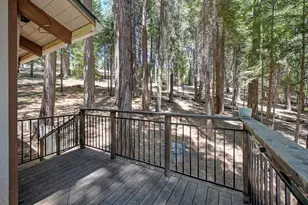 3301 Hazel St, Pollock Pines, CA 95726 - Photo 61