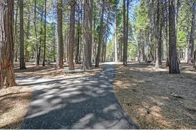 3301 Hazel Street, Pollock Pines, CA 95726 - Photo 71