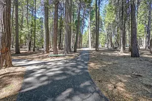 3301 Hazel St, Pollock Pines, CA 95726 - Photo 71