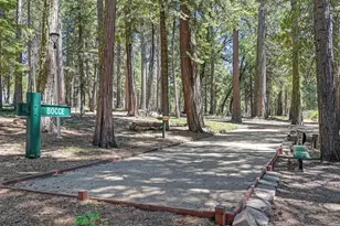3301 Hazel St, Pollock Pines, CA 95726 - Photo 73