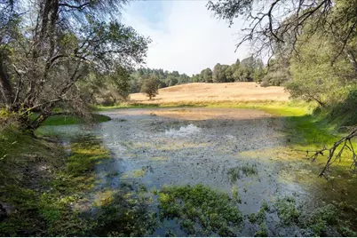 8260 Fairplay Rd, Somerset, CA 95684 - Photo 5