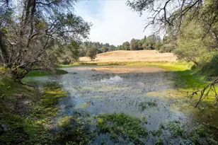 8260 Fairplay Rd, Somerset, CA 95684 - Photo 5