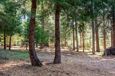 0 Blair Road, Pollock Pines, CA 95726 - Photo 5