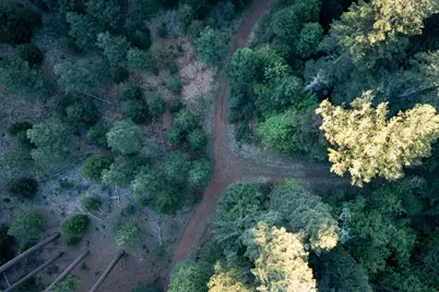 0 Blair Road, Pollock Pines, CA 95726 - Photo 19