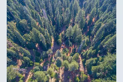 0 Blair Road, Pollock Pines, CA 95726 - Photo 11