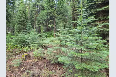0 Blair Road, Pollock Pines, CA 95726 - Photo 25