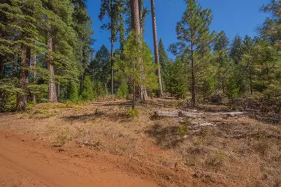 0 Blair Road, Pollock Pines, CA 95726 - Photo 17