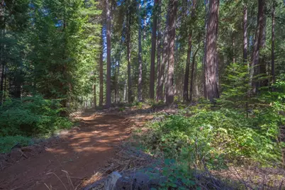 0 Blair Road, Pollock Pines, CA 95726 - Photo 27