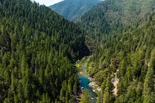 101 Commercial St, Downieville, CA 95936 - Photo 15