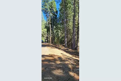 5701 Lupin Lane, Pollock Pines, CA 95726 - Photo 11